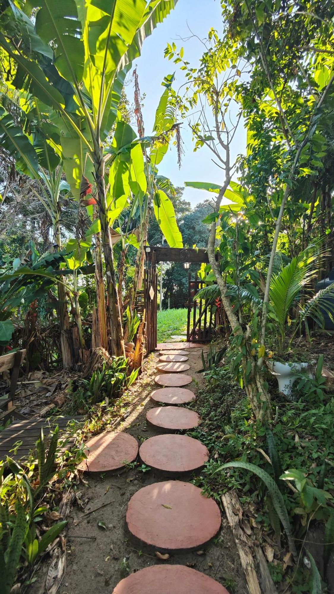Eco Hostel Bosque Di Barro Velha Boipeba Extérieur photo